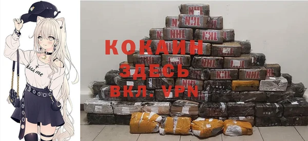 индика Алзамай