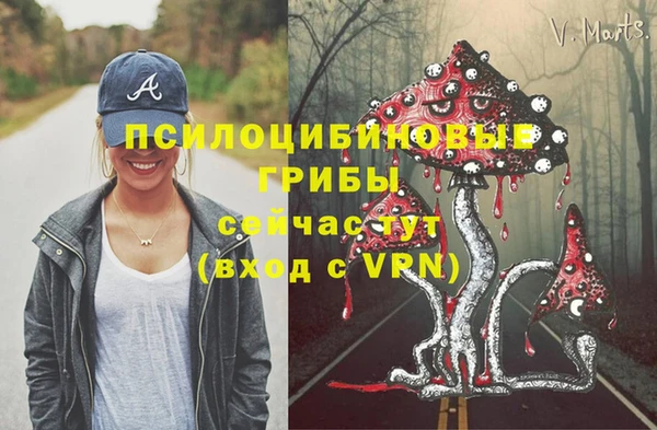 первитин Алексеевка